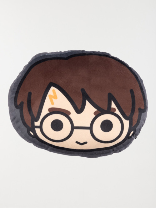 Coussin Harry Potter