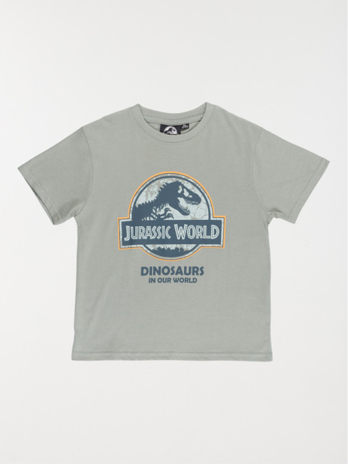 Tee-shirt garçon Jurassic...